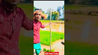 Tinku tingalu sambalpuri comedy video #sambalpuricomedy #comdeyvideo