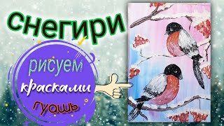 Снегири. Как нарисовать снегирей на ветке рябины. Рисуем снегирей гуашью