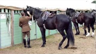 The Household Cavalry