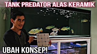 Pasang Keramik Untuk Alas Aquarium / Tank Predator || Substrat pasir atau polos ?