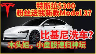 特斯拉$300，泳衣洗车？木头姐，小盘股速回神坛