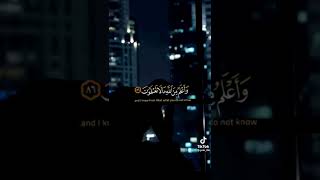 استوريات دينيه قصيره ( قال إنما اشكو بثي وحزني الى الله) حالات واتس اب/ حالات انستا#