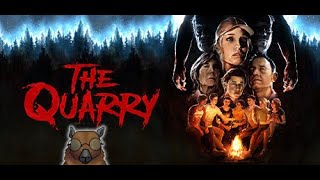 The Quarry #3 / what is happening here