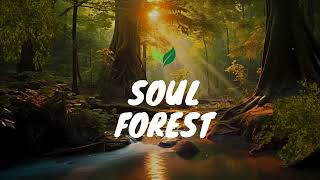 Soul Forest