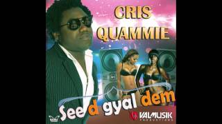 New ** CRIS QUAMMIE ** [SEE D GYAL DEM, GALAXY RIDDIM] [PRODUCED BY VAL MUSIK PRODUCTIONS]