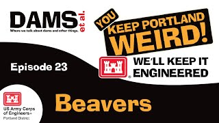 Dams et al. episode 23 - Beavers at Hess Park