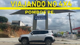 Pombos cidade da mata sul de Pernambuco