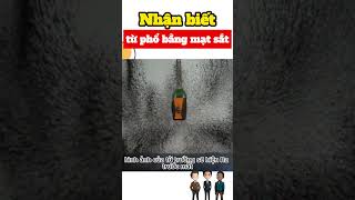 Nhận biết từ phổ bằng mạt sắt #shorts