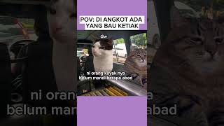 SUMPAH GAK ENAK BANGET DUDUK DI SAMPINGNYA| POV kucing.