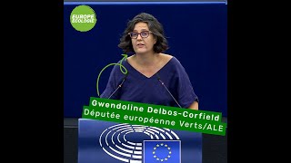 Gwendoline Delbos-Corfield sur les Amendements au RI du Parlement pour renforcer l’intégrité