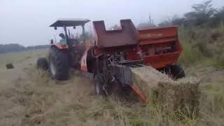 Chloris guyana hay being baled somewhere in Nakaseke