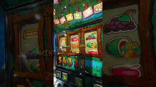 crazy crocs fruit machine