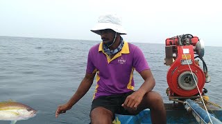 துண்டில் போட்டு  ஆழ்கடலில் மீன் பிடிக்கும் காட்சி //fish hunting at deep sea