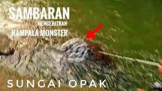 MENGEJUTKAN || sambaran hampala monster || DEPAN MATA #5