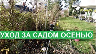 ЗАВЕРШАЮЩИЕ РАБОТЫ В САДУ ПОЗДНЕЙ ОСЕНЬЮ.GARTEN. ABSCHLUSSARBEITEN IM  SPÄTHERBST