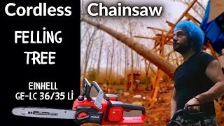 tree felling with cordless chainsaw einhell ge-lc 36/35 li #howtodo #treefelling #chainsaw