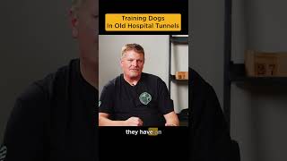 Training Dogs in Old Hospital Tunnels