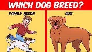 How To Choose the Perfect Dog Breed