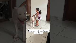 Erros que você comete com seu filhote! #adestramento #cachorro #crdog #caioadestrador #shorts