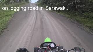 How to drive on logging roads in Sarawak.