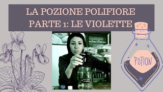 LA POZIONE POLIFIORE (PARTE 1) ESTRAZIONE DELLE VIOLETTE