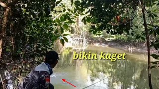 Casting di sungai bakau dapat ikan enak