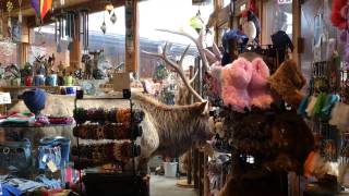 Bull Elk Shopping Inside The Store and Going Out Water Wheel Gift Corner In Estes Park