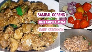 SAMBAL GORENG HATI AMPELA AYAM|| PAKE CABE PEDAS  KATOKKON