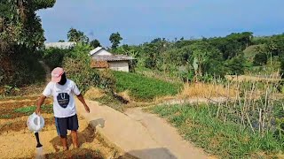 Suasana menyiram tanaman di pagi hari