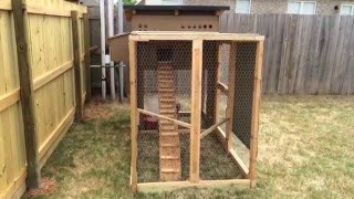 Backyard Chickens -  Chicken Coop 1.0