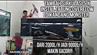 Instalasi  2 Tabung Overflow Di Tank Ikan Purba. Penambahan input Dasar dan Tambah Sirkulasi.