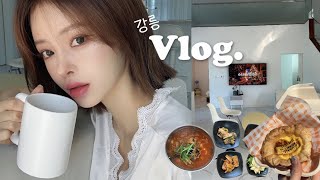 Vlog | 남자친구랑 n번째,, 강릉여행 풀빌라 추천| 강릉 초당옥수수 디저트.. 존마탱 🌽 강릉 선물 추천