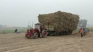 Belarus tractor live power 💪