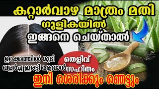 കറ്റാർവാഴ ഉണ്ടോ?? മുടി കറിപോലെ നിക്കാൻ 😱/kattarvazha hair dye/sreejina/malayalam