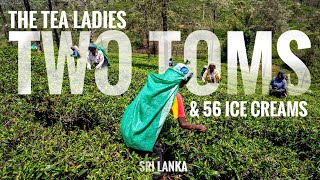 Ep 5 | The Tea Ladies, Two Toms, and 56 Ice Creams - Nuwara Eliya, Sri Lanka