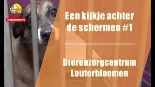 Een kijkje achter de schermen#1 -Dierenzorgcentrum Louterbloemen