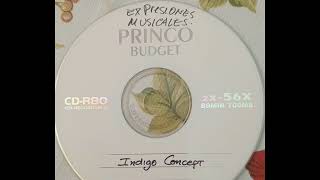 Indigo Concept (Jacques Braunstein - Expresiones Musicales) / Ruinas De Tiempo