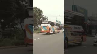 Bis ROSALIA INDAH legacy SR3 | Ponorogo - Solo - Pondok ungu #bismaniacomunity #videoshort