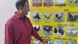 ATMA ke staff Tour ki study in types of poultry breed,CARI, Bareli UP, Chhatarpur MP drbps,03/12/24