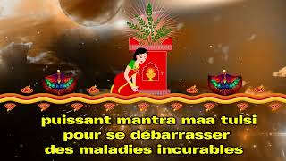 puissant mantra maa tulsi pour se débarrasser des maladies incurables