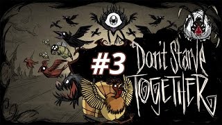 Don't Starve Together : Cadoaie