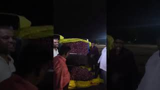 Onion Evening Market : Nashik Live Onion Market