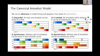 The Canonical Amoebot Model: Algorithms and Concurrency Control