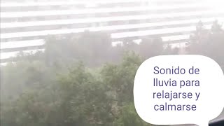 LLUVIA  EN DIRECTO PARA  DORMIR //   صوت  أمطار  تسجيل مباشر لنوم