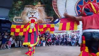 SOLAH PEMBARONG DADAK MERAK REOG PONOROGO SINGO MUDHO PODOS JOOS LUR#dadakmerak #reogponorogo