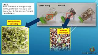 Learn how to grow your own sprouts in just 2 Minutes