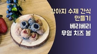 은쌤의 강아지 수제간식 만들기 - 베리베리 무염 치즈 볼 (How to make berry cheese ball for Dog Treats)