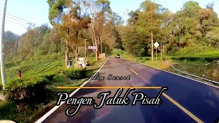 Pengen Jaluk Pisah Alim Sunset || Cover