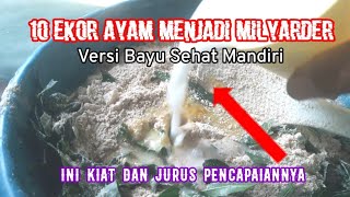 Menu Harian Pakan Ayam Kaya Nutrisi Usir Tetelo, Snot dan Cekak.  Ala BSM Bayu Sehat Mandiri.