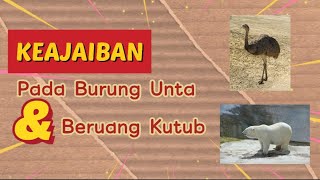 Keajaiban pada Burung Unta dan Beruang Kutub #BurungUnta #KeajaibanAllah #BeruangKutub #keajaiban